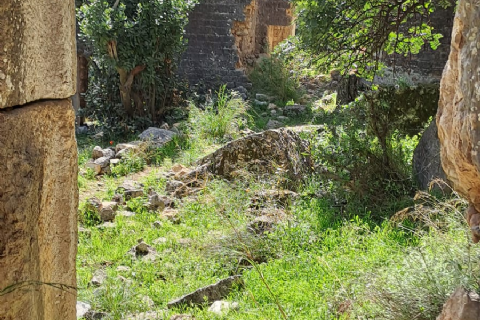 MERGEZ İLE LAMOS - KAYACI VADİSİ VE DOKTORUN YERİ DOĞA YÜRÜYÜŞÜ