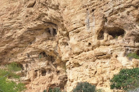 MERGEZ İLE LAMOS - KAYACI VADİSİ VE DOKTORUN YERİ DOĞA YÜRÜYÜŞÜ