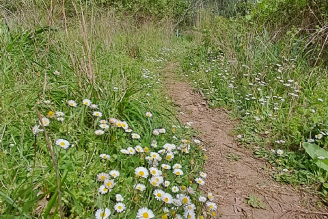 Mergez İle Lamos-Kayacı Vadisi Ve Doktorunyeri Doğa Yürüyüşü