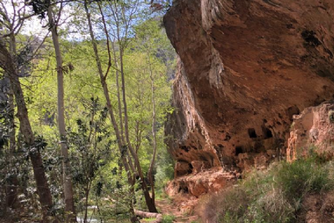 MERGEZ İLE LAMOS - KAYACI VADİSİ VE DOKTORUN YERİ DOĞA YÜRÜYÜŞÜ