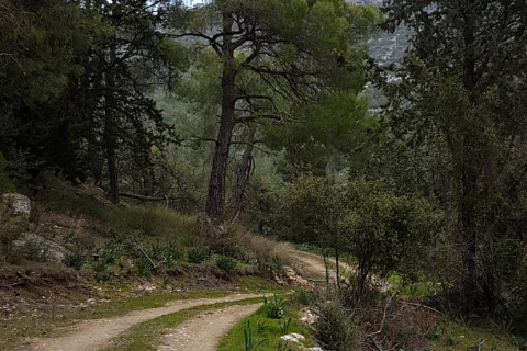 MERGEZ İLE LAMOS - KAYACI VADİSİ VE DOKTORUN YERİ DOĞA YÜRÜYÜŞÜ