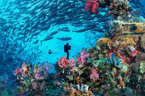 MISIR Piramitlerden Kızıldeniz’e Prestij Kahire & Sharm Turu- MERGEZ MACERA TURİZM 2026