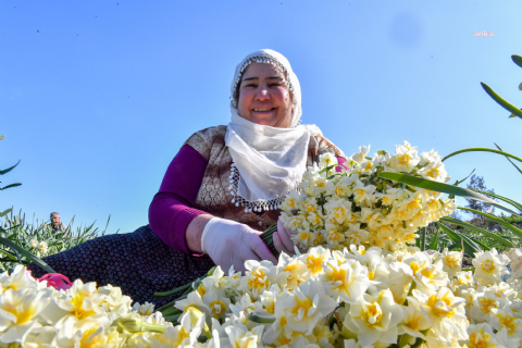 Nergis Tarlaları-Pamukluk Barajı-Tarihi Roma Yolu-Varda Alman Köprüsü- Girit Köyü Turu- Mergez Macera Turizm