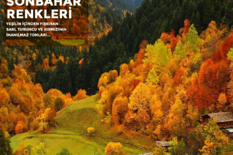 Tortum Şelalesi, Artvin, Borçka Karagöl, Macahel, Maral Şelasi, İremit Cami, Efeler Köyü, Deriner Barajı Sonbahar Turu- MERGEZ