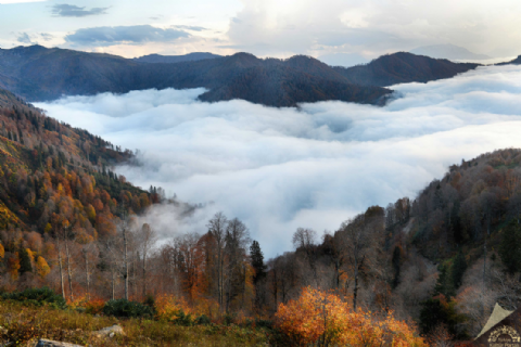 Tortum Şelalesi, Artvin, Borçka Karagöl, Macahel, Maral Şelasi, İremit Cami, Efeler Köyü, Deriner Barajı Sonbahar Turu- MERGEZ