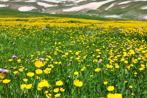 Van - Hakkari  Eko Trekking Turu