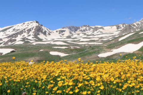 Van - Hakkari  Eko Trekking Turu