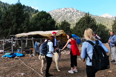 Yılan Obası-Karboğazı Doğa Yürüyüşü