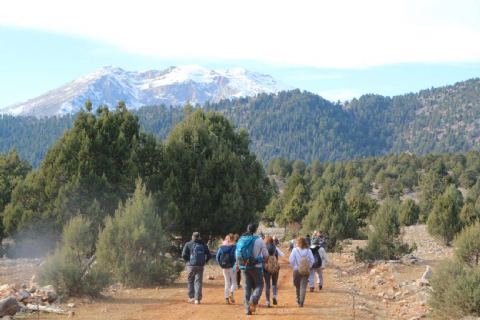 Yılan Obası-Karboğazı Doğa Yürüyüşü