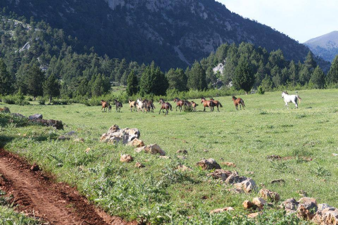 Yılan Obası-Karboğazı Doğa Yürüyüşü