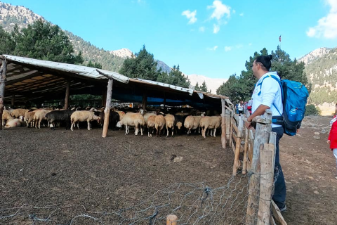 Yılan Obası-Karboğazı Doğa Yürüyüşü