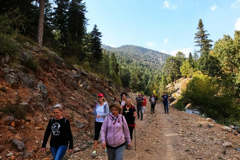 Yılan Obası-Karboğazı Doğa Yürüyüşü