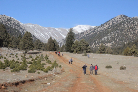 Yılan Obası-Karboğazı Doğa Yürüyüşü