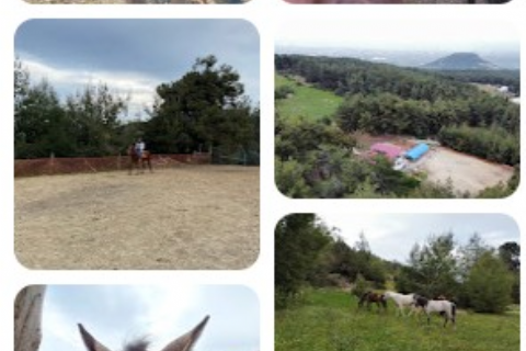 🐎 NEFES AT ÇİFTLİĞİ – ÇANDIR KALESİ – 2. KARDEŞ GÖÇERLER YÖRÜK ETKİNLİĞİ TURU