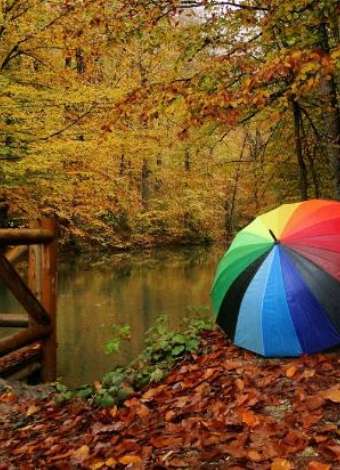 Yedigöller Sonbahar Rüya Kampı