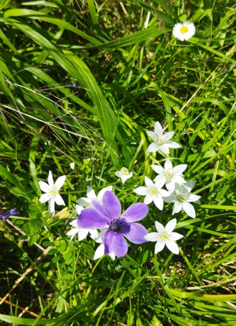 05 NİSAN MERGEZ İLE LAMOS - KAYACI VADİSİ VE DOKTORUN YERİ DOĞA YÜRÜYÜŞÜ