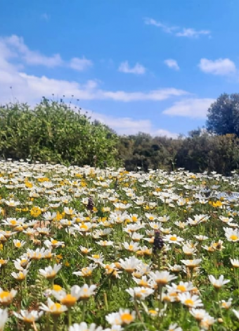 10 Mayıs Pazar Sömek-Kızılgeçit Doğa Yürüyüşü