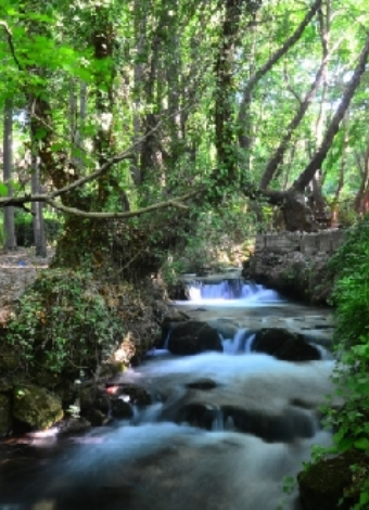23 Mayıs Cumartesi Günübirlik Ermenek Ve Turkuaz Yat Turu