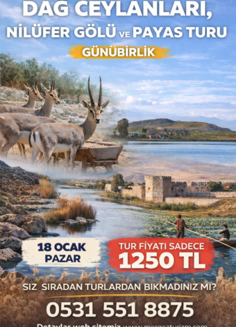 Dağ Ceylanları Çiftliği - Ozero Nilüfer Gölü - Payas Ve Çevresi Turu