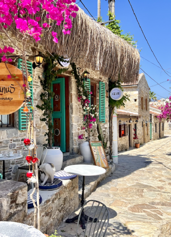 Datça Bademçiçeği Festivali- Marmaris Ve Muğla Turu- Mergez Macera Turizm Özel 2026