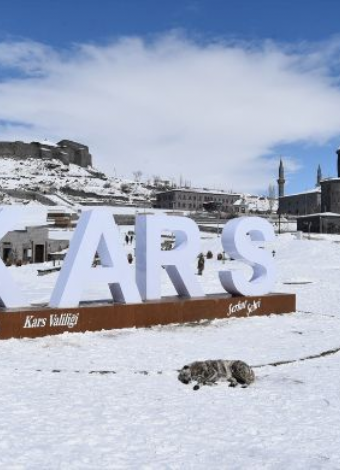 Doğu Ekspresi İle Erzurum, Kars, Sarıkamış, Ani, Çıldır Gölü, Palandöken Kayak Merkezi, Divriği Turu- 22-27 ARALIK  2. TUR