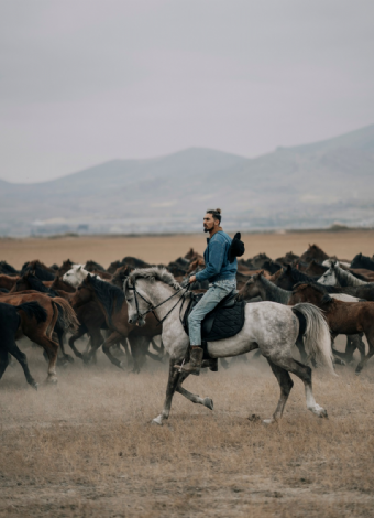 Hürmetçi Yılkı Atları, Yaban Hayatı, Hürmetçi Sazlığı Manda Sürüleri, Bayramhacı Turizm Köyü, Palas Tuzla Gölü, Erdemli Vadisi Turu- MERGEZ 2026