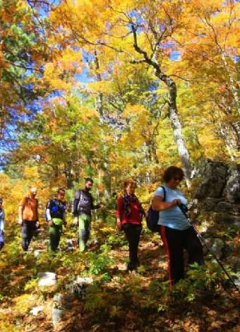 Kengerlidüz Sonbaharın Kalbine Yürüyüş