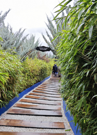KIRŞEHİR TURU MERGEZ 2026-NEŞET ERTAŞ SEVERLERE.