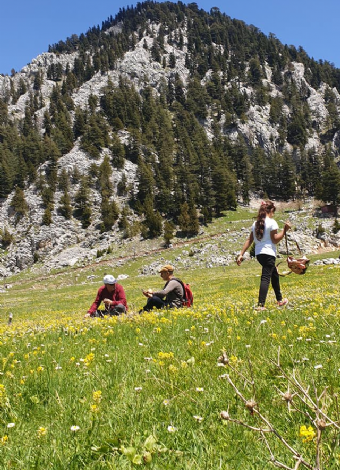 MAKSUTOLUĞU YAYLASI DOĞA YÜRÜYÜŞÜ-MERGEZ