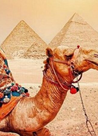 MISIR Piramitlerden Kızıldeniz’e Prestij Kahire & Sharm Turu- MERGEZ MACERA TURİZM 2026