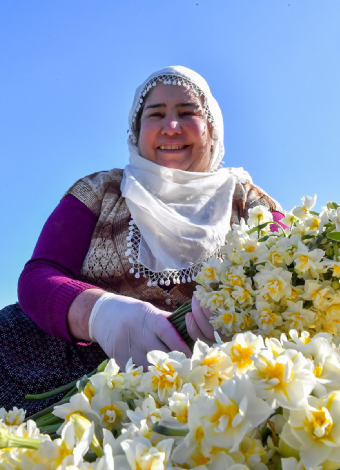 Nergis Tarlaları-Pamukluk Barajı-Tarihi Roma Yolu-Varda Alman Köprüsü- Girit Köyü Turu- Mergez Macera Turizm