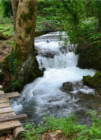 PAPAZIN BAHÇESİ DOĞA YÜRÜYÜŞÜ