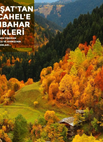 Tortum Şelalesi, Artvin, Borçka Karagöl, Macahel, Maral Şelasi, İremit Cami, Efeler Köyü, Deriner Barajı Sonbahar Turu- MERGEZ