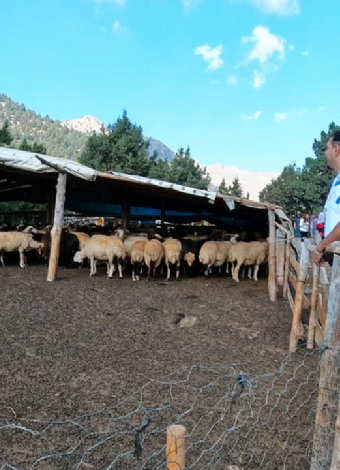 Yılan Obası-Karboğazı Doğa Yürüyüşü